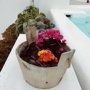 Meet your Posher, Shael